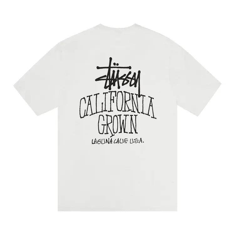 tee stussy california SZ L